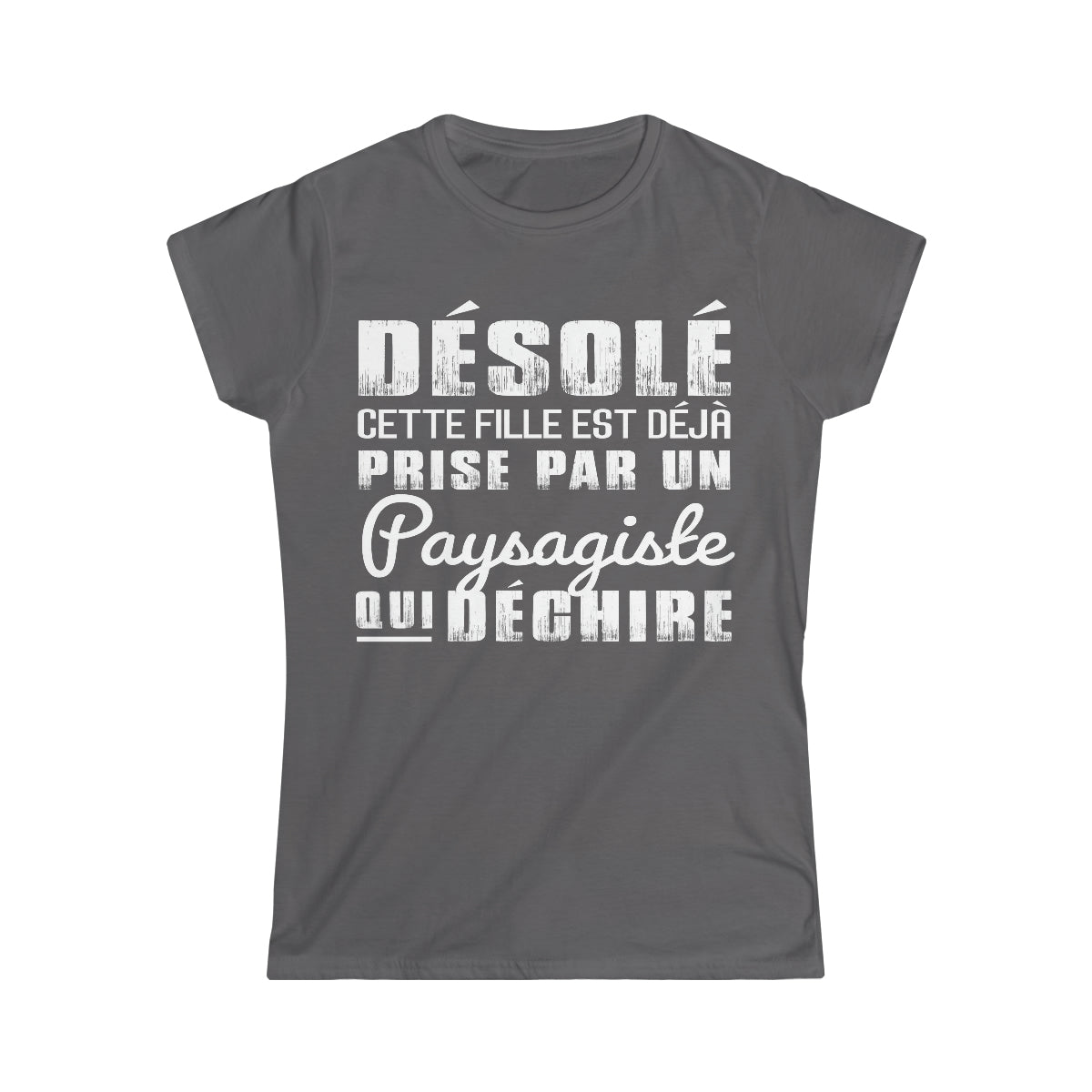 Prise par un Paysagiste qui déchire