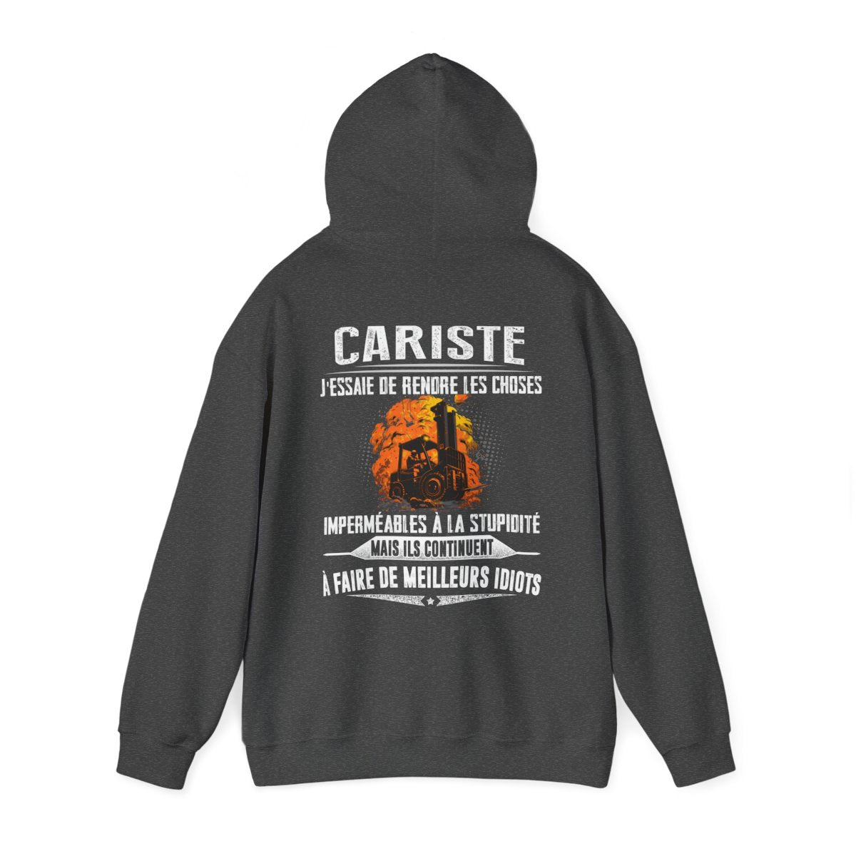 Cariste, j'essaie de rendre les choses imperméables à la stupidité