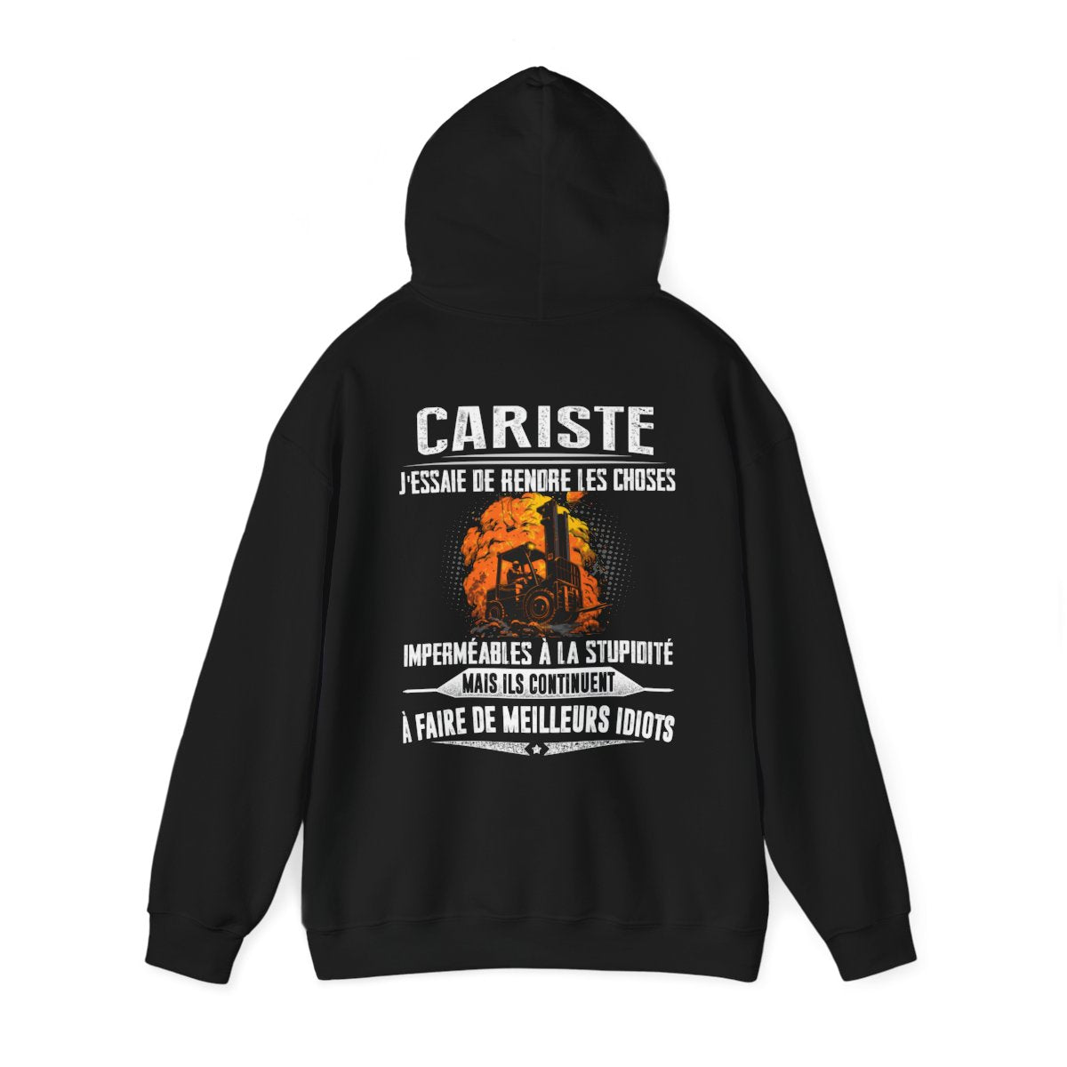 Cariste, j'essaie de rendre les choses imperméables à la stupidité