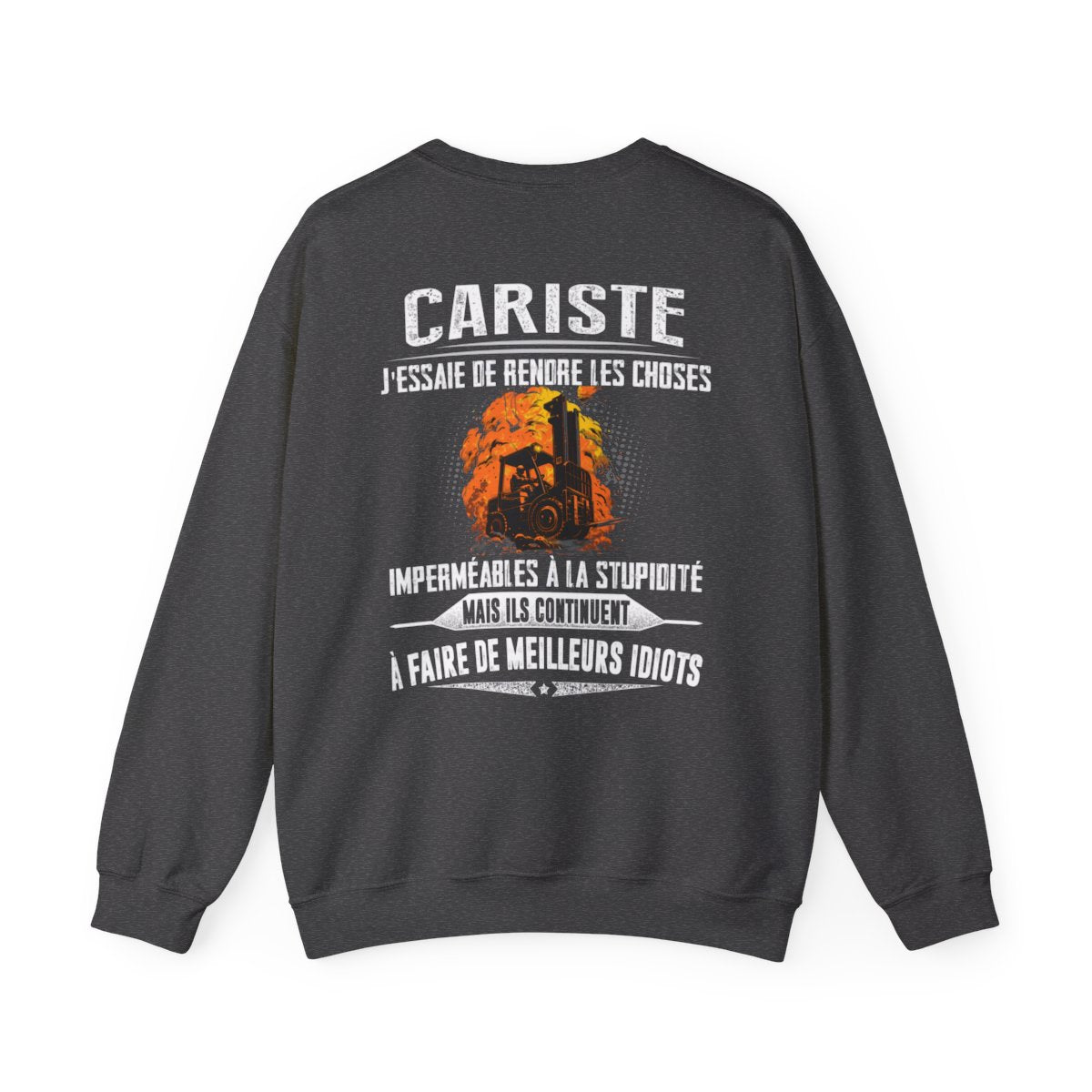 Cariste, j'essaie de rendre les choses imperméables à la stupidité