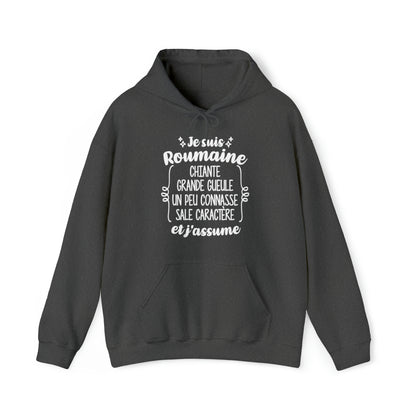 Je suis Roumaine sale caractère et j'assume