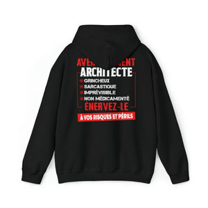 Architecte, grincheux, sarcastique, imprévisible, non médicamenté