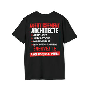 Architecte, grincheux, sarcastique, imprévisible, non médicamenté