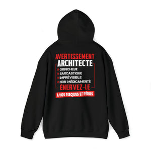 Architecte, grincheux, sarcastique, imprévisible, non médicamenté