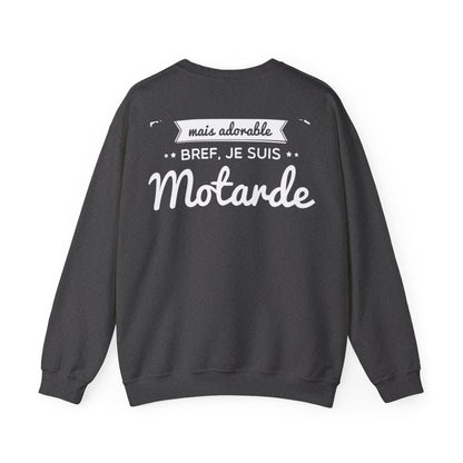 Attachiante, capricieuse mais adorable, bref je suis motarde