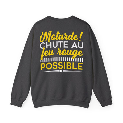 Attention motarde ! Chute au feu rouge possible