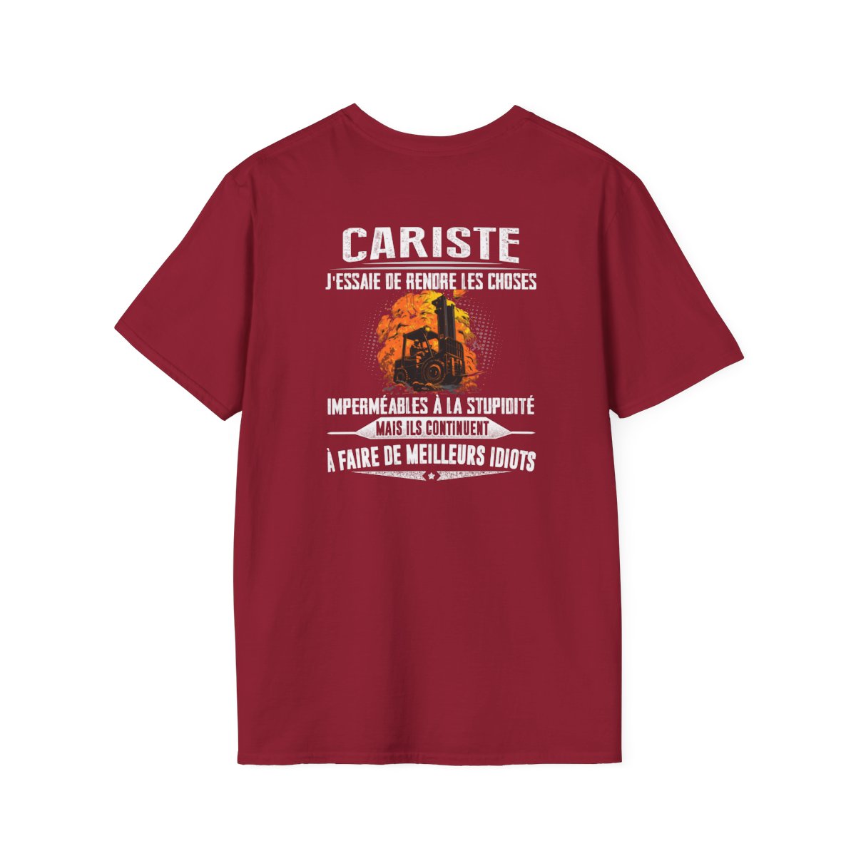 Cariste, j'essaie de rendre les choses imperméables à la stupidité