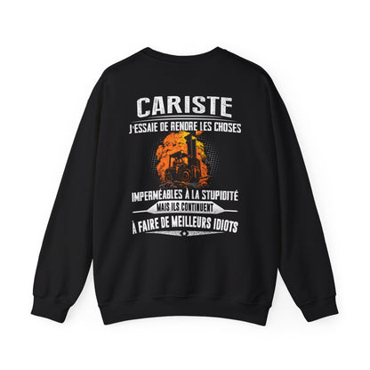 Cariste, j'essaie de rendre les choses imperméables à la stupidité