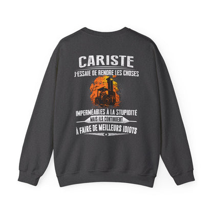 Cariste, j'essaie de rendre les choses imperméables à la stupidité