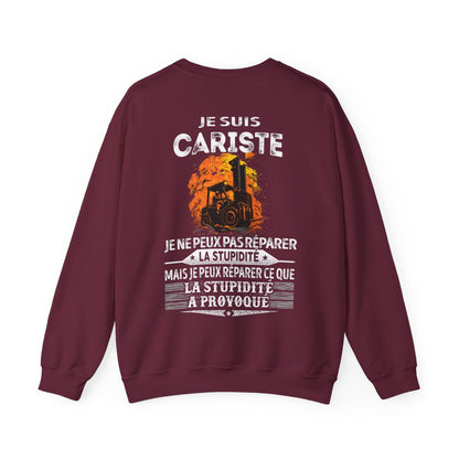 Cariste peut réparer ce que la stupidité a provoqué