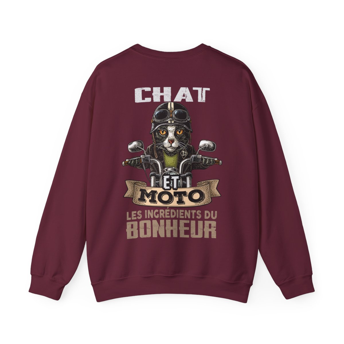 Chat et moto les ingrédients du bonheur