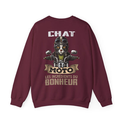 Chat et moto les ingrédients du bonheur