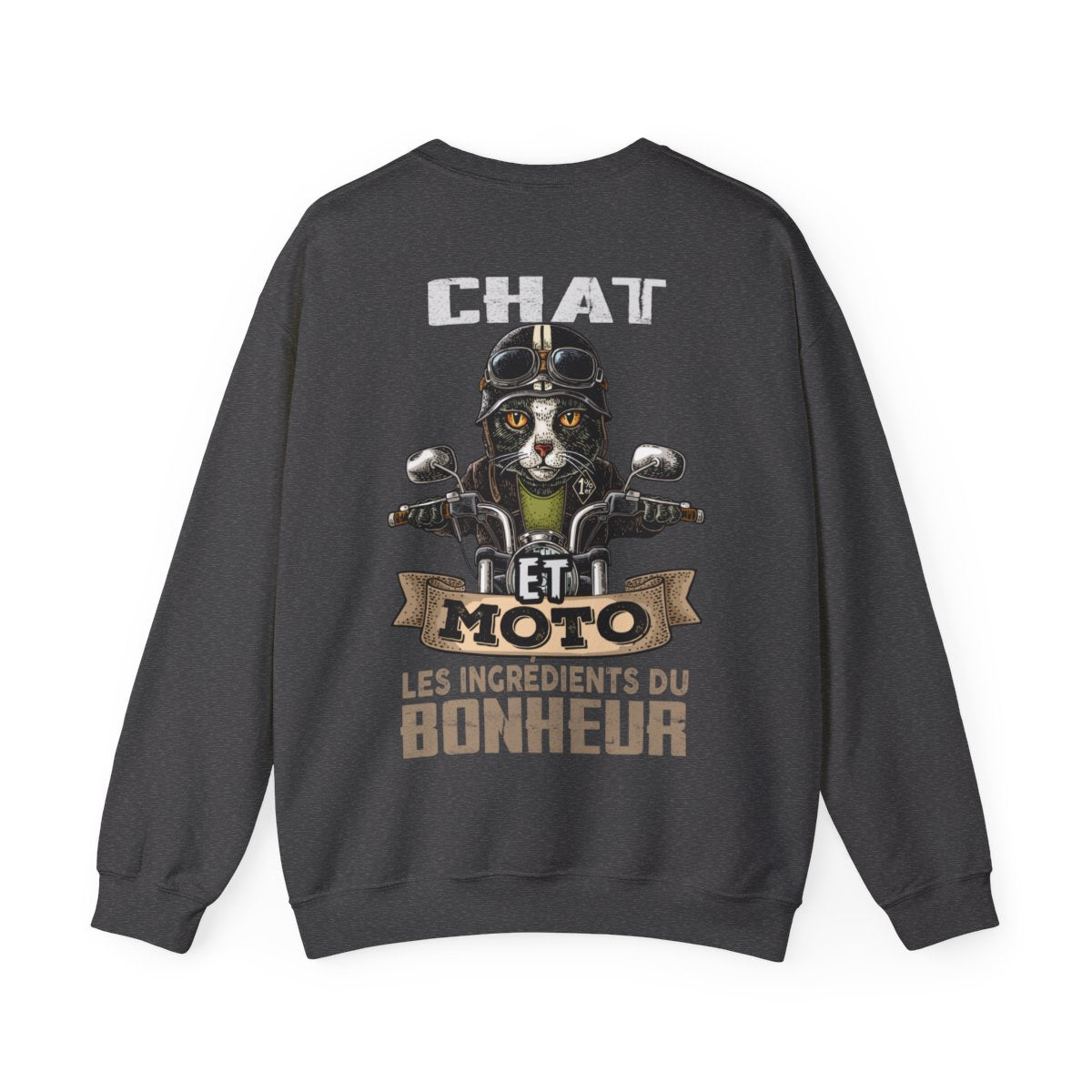 Chat et moto les ingrédients du bonheur