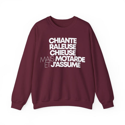 Chiante, râleuse, chieuse mais motarde et j'assume