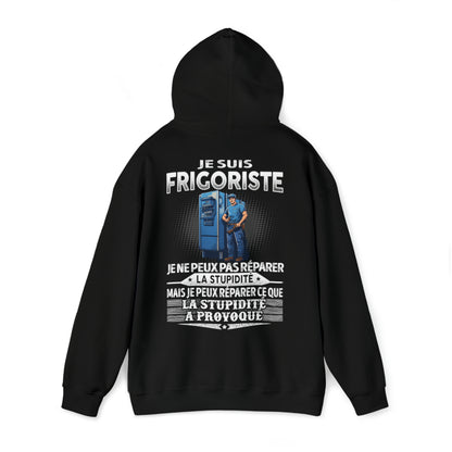 Frigoriste peut réparer ce que la stupidité a provoqué