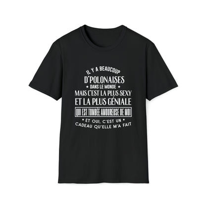 Il y a beaucoup d'Polonaise