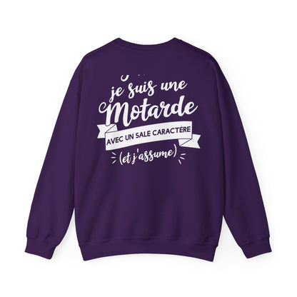 J'ai remplacé les hommes par un moto