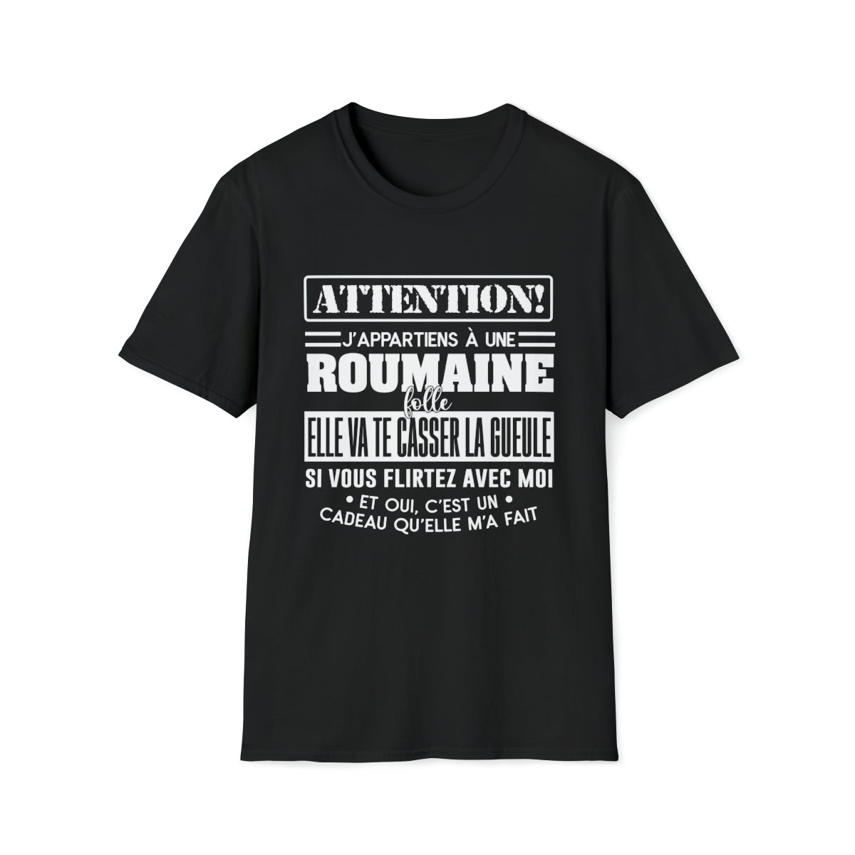 J'appartiens à une Roumaine