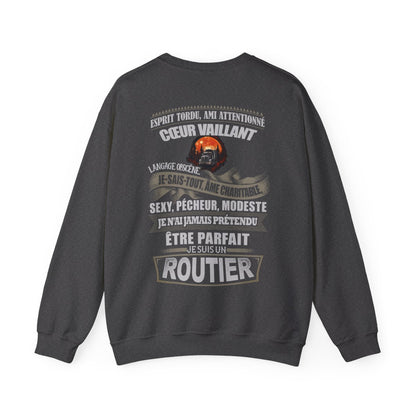 Je n'ai jamais prétendu être parfait, je suis un Routier