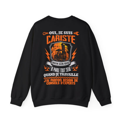 Je suis Cariste, j'ai parfois besoin de conseils d'experts