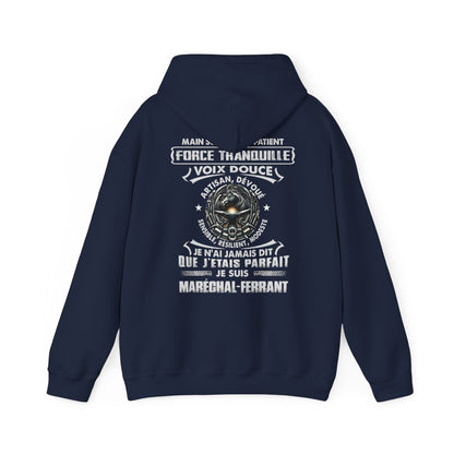 Je suis maréchal-ferrant je n'ai jamais dit que j'étais parfait