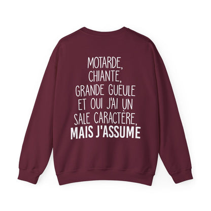 Je suis motarde, grande gueule et oui j'ai un sale caractère