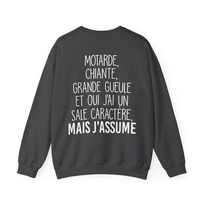 Je suis motarde, grande gueule et oui j'ai un sale caractère