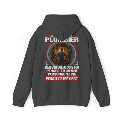 Je suis un Plombier, fou mais pas insensé