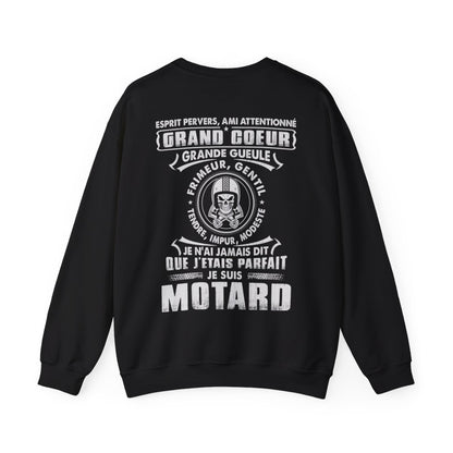 J'étais parfait je suis motard