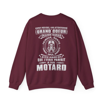 J'étais parfait je suis motard