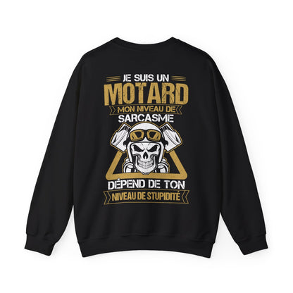 Motard niveau de sarcasme dépend de ton niveau de stupidité