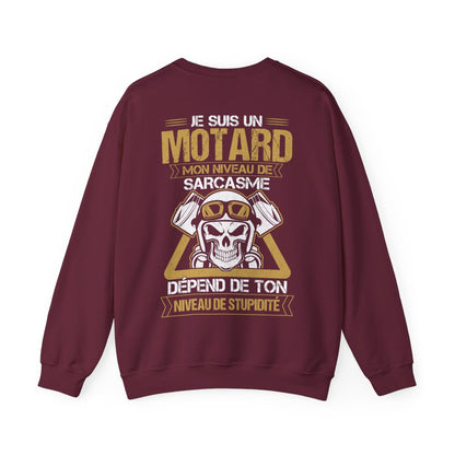 Motard niveau de sarcasme dépend de ton niveau de stupidité