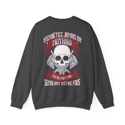 N'embêtez jamais un motard ils ne font pas semblant d'être fous