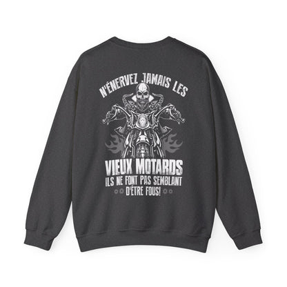 N'énervez jamais les vieux motards il ne font pas semblant d'être fous
