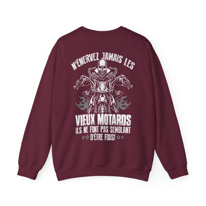 N'énervez jamais les vieux motards il ne font pas semblant d'être fous