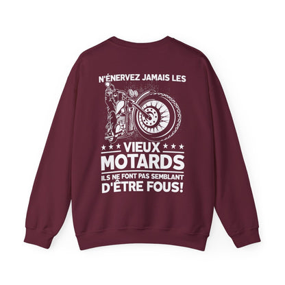 N'énervez jamais les vieux motards il ne font pas semblant d'être fous