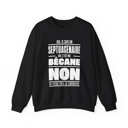 Oui, je suis un septuagénaire. Oui, c'est ma bécane