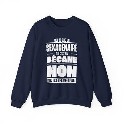Oui, je suis un sexagénaire. Oui, c'est ma bécane