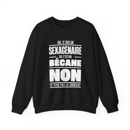 Oui, je suis un sexagénaire. Oui, c'est ma bécane