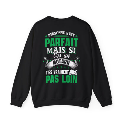Personne n'est parfait mais si t'es un motard t'es vraiment pas lion