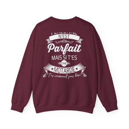 Personne n'est parfait mais si t'es une motarde t'es vraiment pas loin