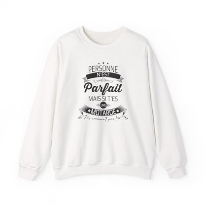 Personne n'est parfait mais si t'es une motarde t'es vraiment pas loin