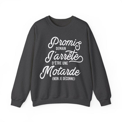 Promis demain j'arrête d'être une motarde, non je déconne