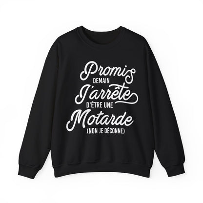 Promis demain j'arrête d'être une motarde, non je déconne